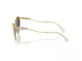 Swarovski SK 7017 400487 58 Women sunglasses