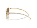 Swarovski SK 7025 400473 58 Women sunglasses