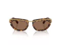 Swarovski SK 7026 403573 52 Women sunglasses