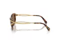 Swarovski SK 7026 403573 52 Women sunglasses
