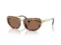 Swarovski SK 7026 403573 52 Women sunglasses