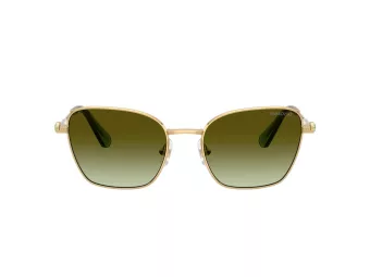 Swarovski SK 7029 4004E8 55 Women sunglasses