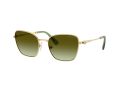 Swarovski SK 7029 4004E8 55 Women sunglasses