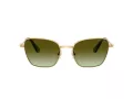 Swarovski SK 7029 4004E8 58 Women sunglasses
