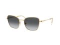 Swarovski SK 7029 4004T3 55 Women sunglasses