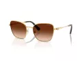 Swarovski SK 7029 400774 55 Women sunglasses