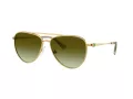 Swarovski SK 7031 4017E8 59 Women sunglasses