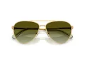 Swarovski SK 7031 4017E8 59 Women sunglasses