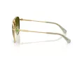 Swarovski SK 7031 4017E8 59 Women sunglasses