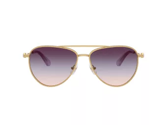 Swarovski SK 7031 4036U7 59 Women sunglasses