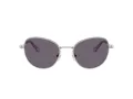 Swarovski SK 7032 40011A 54 Women sunglasses