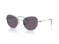 Swarovski SK 7032 40011A 54 Women sunglasses