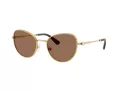 Swarovski SK 7032 400473 54 Women sunglasses