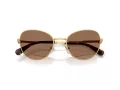 Swarovski SK 7032 400473 54 Women sunglasses
