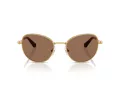 Swarovski SK 7032 400473 54 Women sunglasses