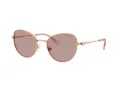 Swarovski SK 7032 40147N 54 Women sunglasses