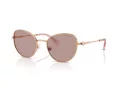 Swarovski SK 7032 40147N 54 Women sunglasses