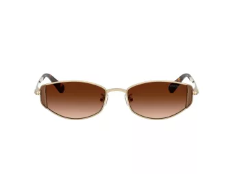 Swarovski SK 7035D 401374 53 Women sunglasses