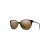 Smith SM Cheetah 086/L5 54 Men, Women sunglasses