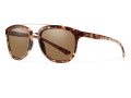 Smith SM Clayton/N SU3/UD 53 Men, Women sunglasses