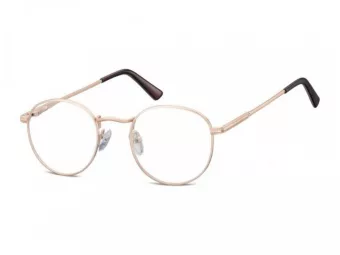Berkeley glasses 604 F