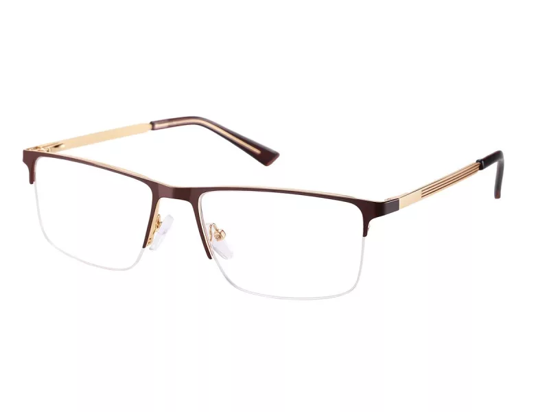 Berkeley glasses 868D