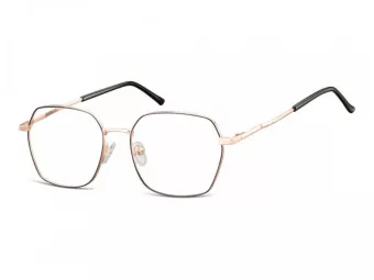 Berkeley glasses 913B