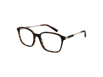 Ted Baker TB 8317 107 54 Men glasses