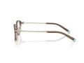 Tiffany TF 2225D 8255 53 Women glasses