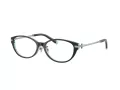 Tiffany TF 2225D 8285 53 Women glasses