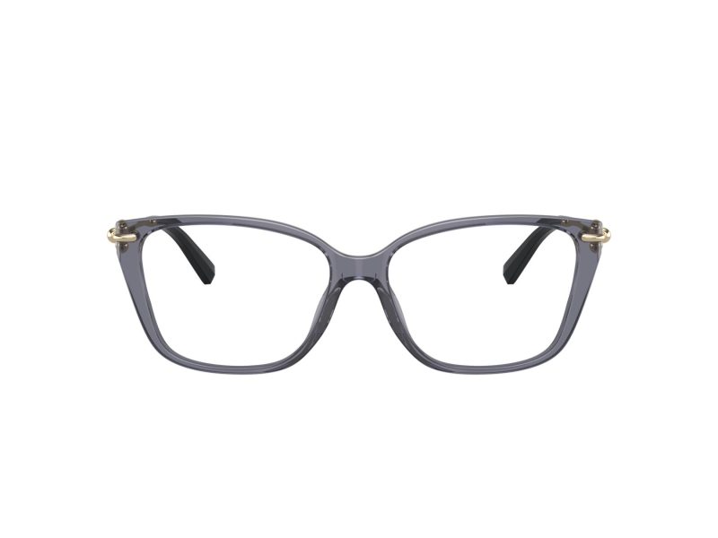 Tiffany TF 2248K 8405 55 Women glasses