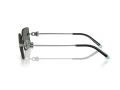 Tiffany TF 3088 60033H 59 Men, Women sunglasses