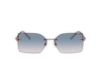 Tiffany TF 3088 610516 59 Women sunglasses