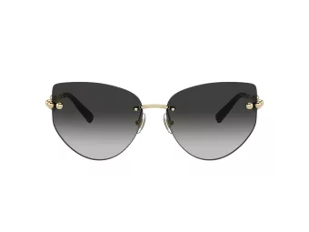 Tiffany TF 3096 60213C 60 Women sunglasses