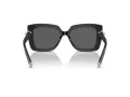 Tiffany TF 4199 8001S4 53 Women sunglasses