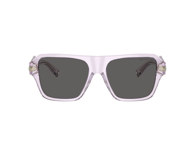 Tiffany TF 4204 8376S4 54 Women sunglasses