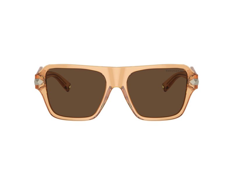 Tiffany TF 4204 83773G 54 Women sunglasses