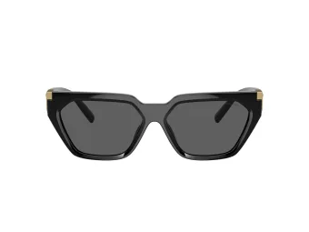 Tiffany TF 4205U 8001S4 56 Women sunglasses