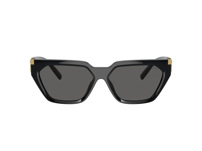 Tiffany TF 4205U 8001S4 56 Women sunglasses