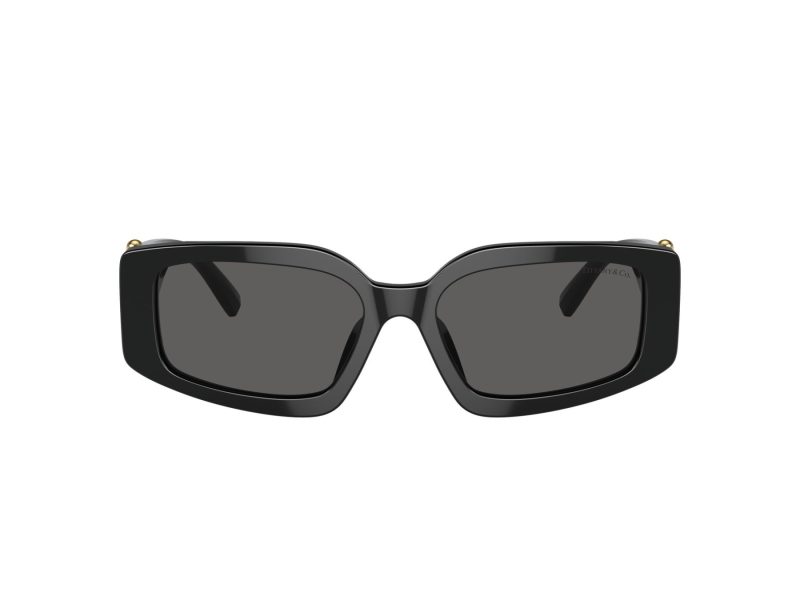 Tiffany TF 4208U 8001S4 54 Women sunglasses