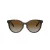 Tiffany TF 4209D 8015T5 54 Women sunglasses