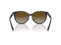 Tiffany TF 4209D 8015T5 54 Women sunglasses