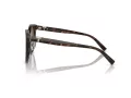 Tiffany TF 4209D 8015T5 54 Women sunglasses