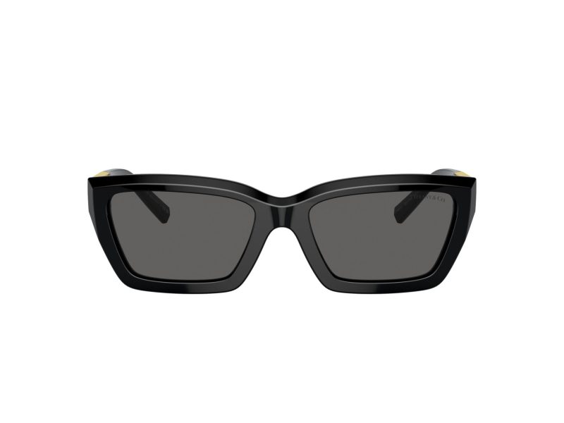 Tiffany TF 4213 8001S4 54 Women sunglasses