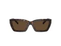 Tiffany TF 4213 80153G 54 Women sunglasses