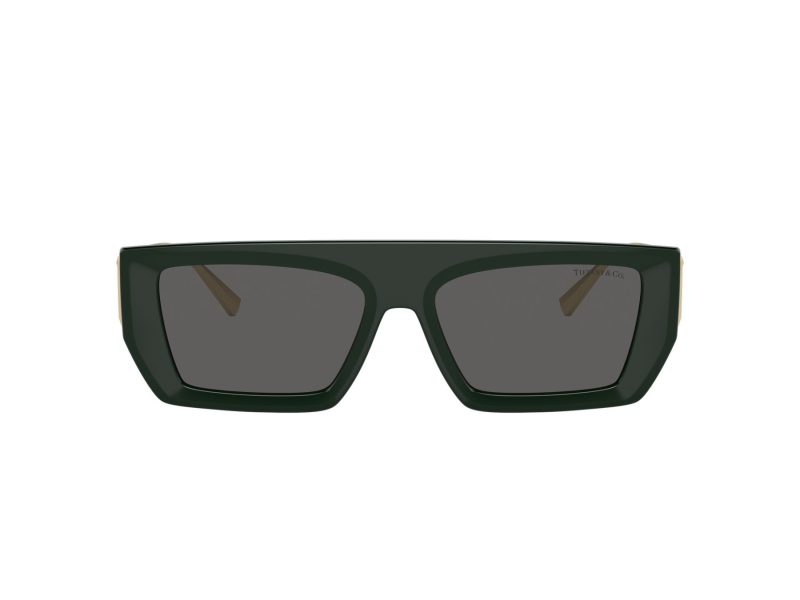 Tiffany TF 4214U 8390S4 54 Women sunglasses