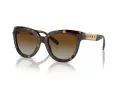 Tiffany TF 4215 8015T5 53 Women sunglasses