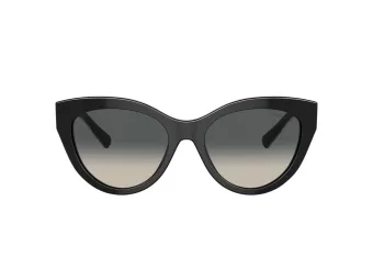 Tiffany TF 4220 800171 54 Women sunglasses