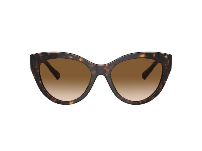 Tiffany TF 4220 801551 54 Women sunglasses
