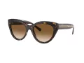 Tiffany TF 4220 801551 54 Women sunglasses